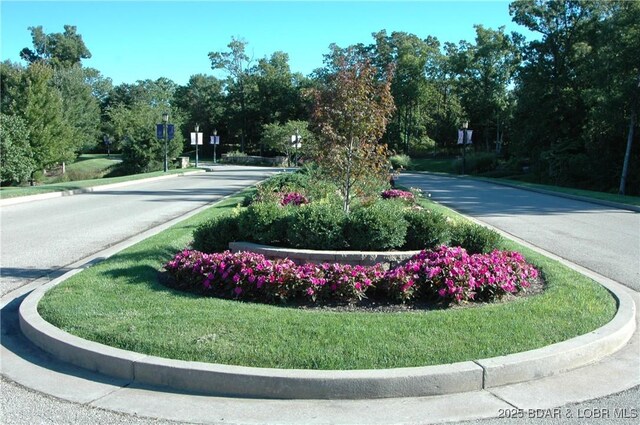 127 Villages Way, Villages, MO 65079 - photo 10