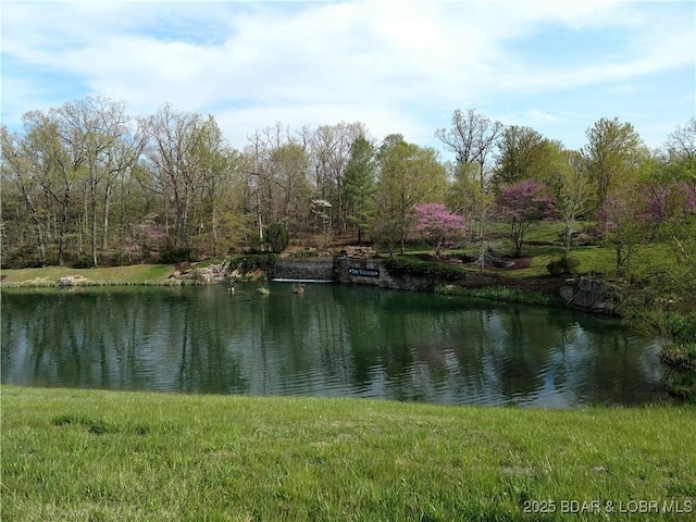 127 Villages Way, Villages, MO 65079 - photo 12