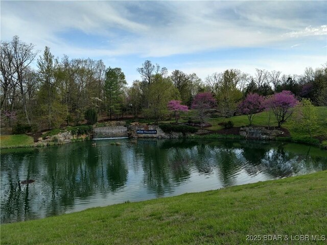 127 Villages Way, Villages, MO 65079 - photo 14
