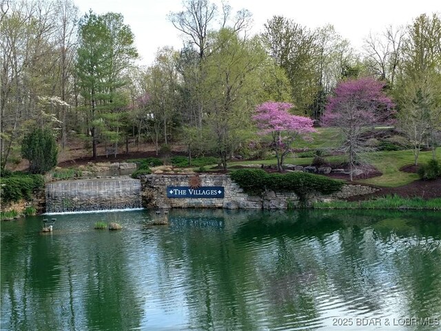 127 Villages Way, Villages, MO 65079 - photo 15