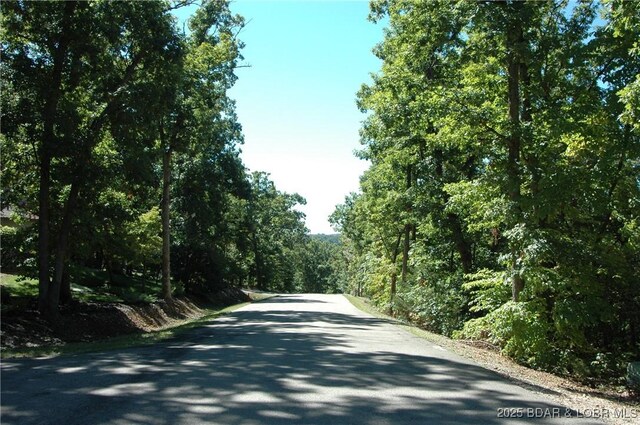 127 Villages Way, Villages, MO 65079 - photo 21