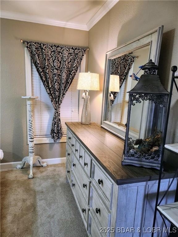 201 Marina Residence Dr Unit 3C, Camdenton, MO 65020 - detailed view of baseboards, ornamental molding, and carpet flooring