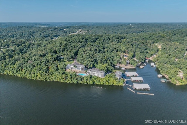 288 Windsor Bay Dr Unit 2B, Camdenton, MO 65020 - photo 42