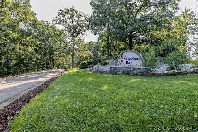 288 Windsor Bay Dr Unit 2B, Camdenton, MO 65020 - photo 47