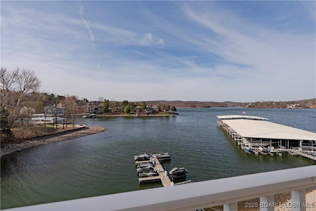 water view featuring a boat dock