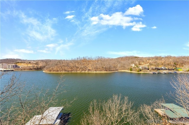 189 Black Rock Rd, Camdenton, MO 65020 - water view