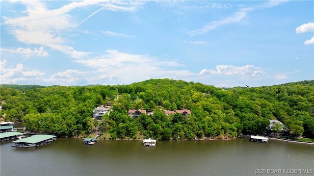 189 Black Rock Rd, Camdenton, MO 65020 - bird's eye view of a heavily wooded area and a large body of water