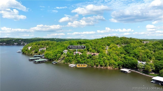 drone / aerial view of a heavily wooded area and a nearby body of water