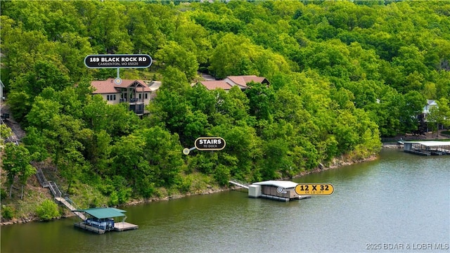 drone / aerial view of a large body of water and a forest