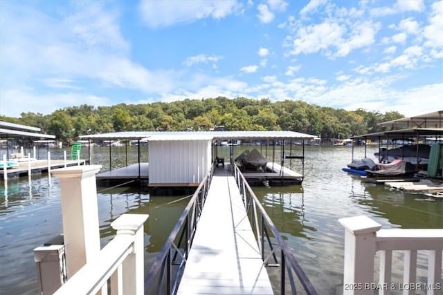view of dock with a water view