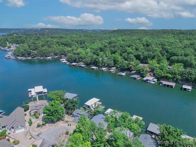 aerial view featuring a view of trees and a water view