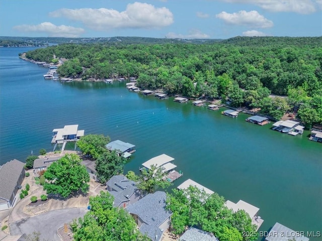 birds eye view of property with a forest view and a water view