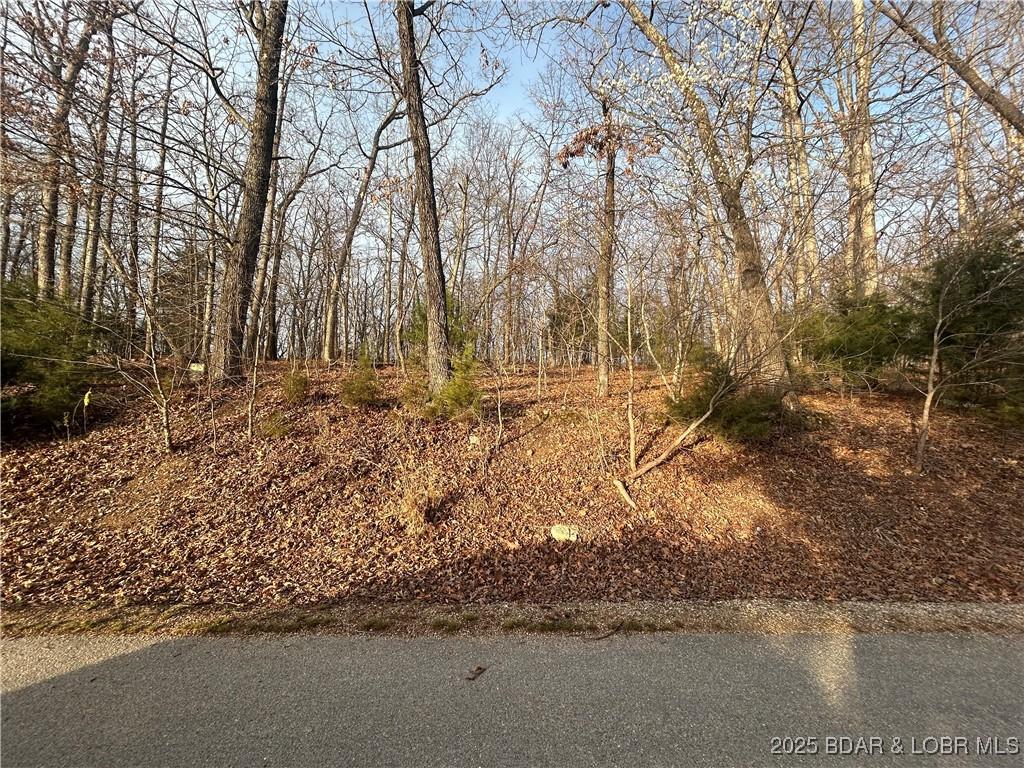 Via Appia Dr, Porto Cima, MO 65079