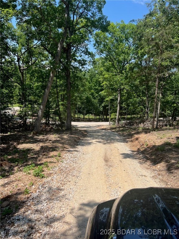 Lot2B Shady Ozarks Lane Lot 10Asbury Ln, Sunrise Beach, MO 65079