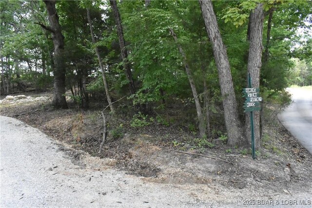 Lot2B Shady Ozarks Lane Lot 10Asbury Ln, Sunrise Beach, MO 65079