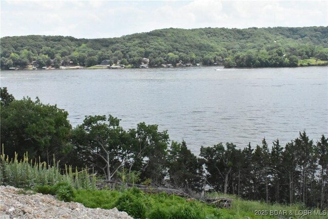 Lot2B Shady Ozarks Lane Lot 10Asbury Ln, Sunrise Beach, MO 65079