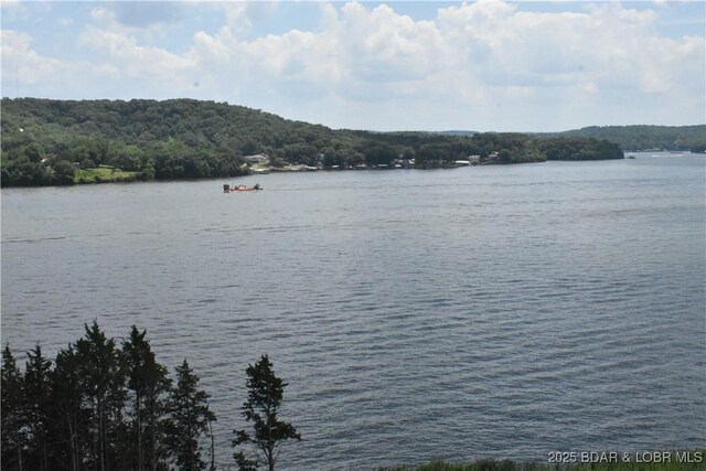 Lot2B Shady Ozarks Lane Lot 10Asbury Ln, Sunrise Beach, MO 65079