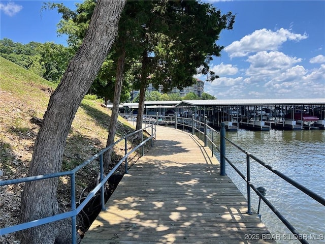 310 Palisades Dr Unit 1B, Lake Ozark, MO 65049 - photo 48