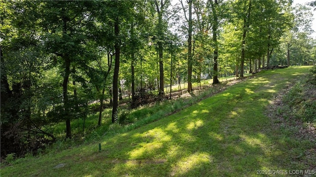 TBD Brush Creek Rd, Sunrise Beach, MO 65079 - photo 4