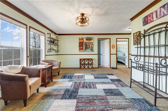 interior space with crown molding, a textured ceiling, and carpet