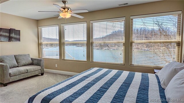 75 Stonebraker Dr, Camdenton, MO 65020 - photo 7