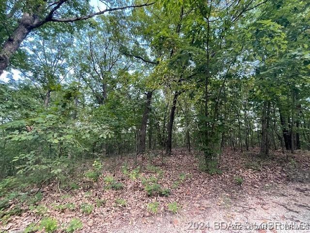 TRACT270 Sunset Est, Gravois Mills, MO 65037 - photo 6