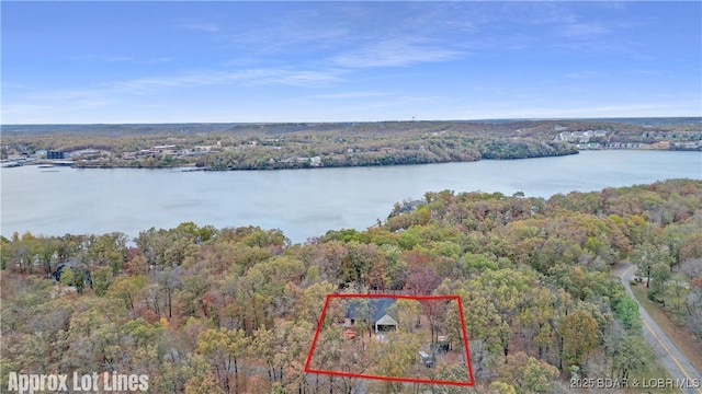 bird's eye view with a water view and a wooded view