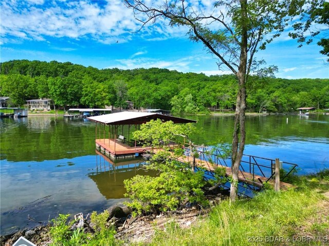 27206 Lakeside Ln, Barnett, MO 65011 - photo 26