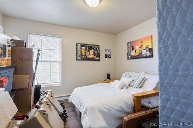 145 Oak Bnd, Kaiser, MO 65047 - bedroom featuring multiple windows and a baseboard heating unit