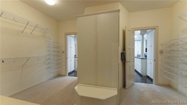 spacious closet with carpet flooring