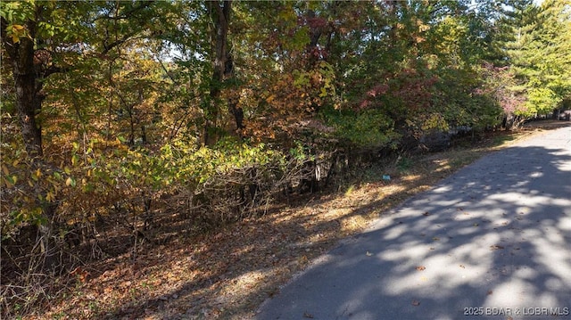 LOT418 Grand View Dr, Sunrise Beach, MO 65079