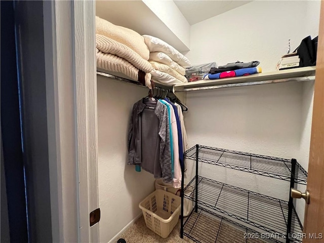 31347 Northshore Dr Unit 101A, Rocky Mount, MO 65072 - spacious closet with carpet floors