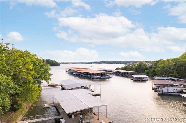 1323 Castle Ct, Osage Beach, MO 65065 - photo 48