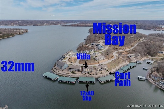 287 Mission Bay Dr, Camdenton, MO 65020 - photo 2