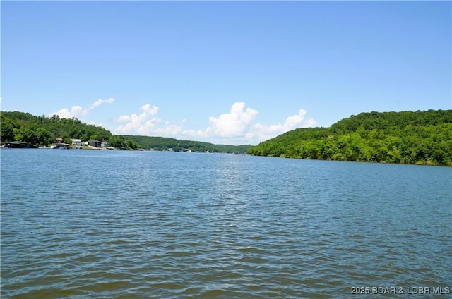 319 Aarons Point Dr, Camdenton, MO 65020 - photo 4