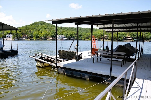 319 Aarons Point Dr, Camdenton, MO 65020 - photo 28