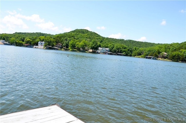 319 Aarons Point Dr, Camdenton, MO 65020 - photo 32