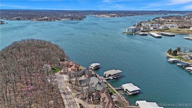 bird's eye view of a large body of water