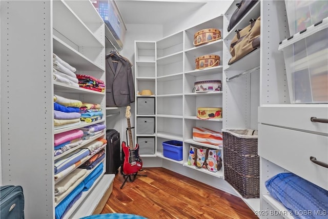 spacious closet with wood finished floors
