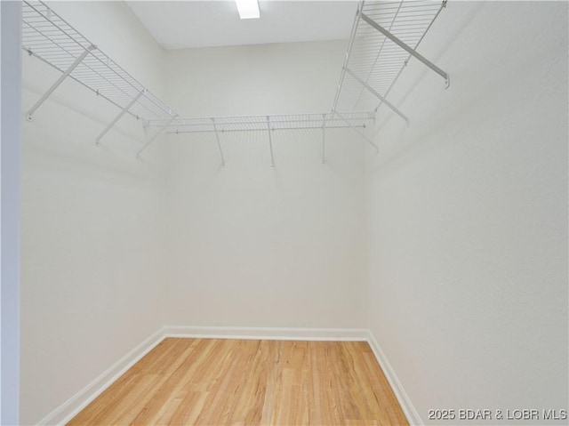 walk in closet featuring light wood-type flooring