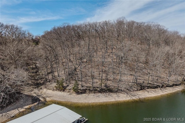 TBD Mockingbird Road, Lake Ozark, MO 65049