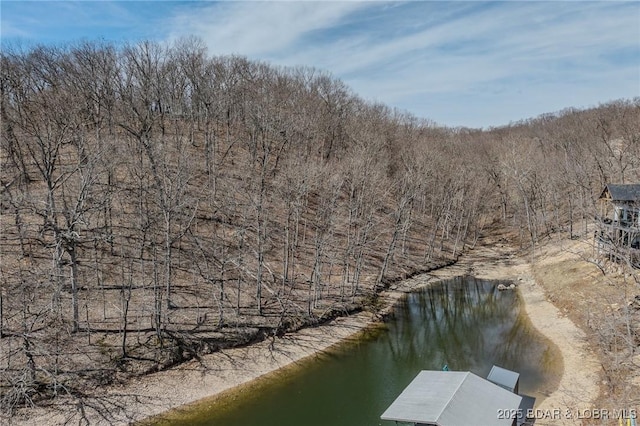 TBD Mockingbird Road, Lake Ozark, MO 65049