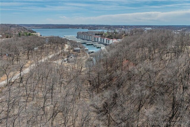 TBD Mockingbird Road, Lake Ozark, MO 65049