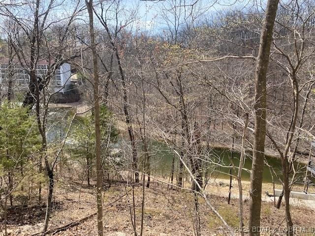 TBD Mockingbird Road, Lake Ozark, MO 65049