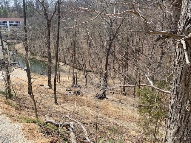 TBD Mockingbird Road, Lake Ozark, MO 65049