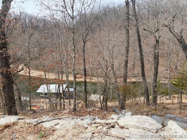 TBD Mockingbird Road, Lake Ozark, MO 65049