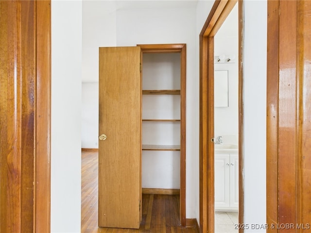 1052 Diggs Rd, Osage Beach, MO 65065 - closet with a sink
