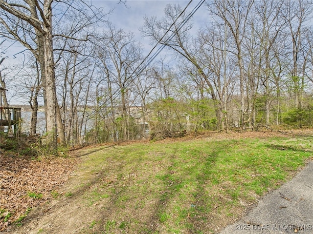 1052 Diggs Rd, Osage Beach, MO 65065 - view of yard