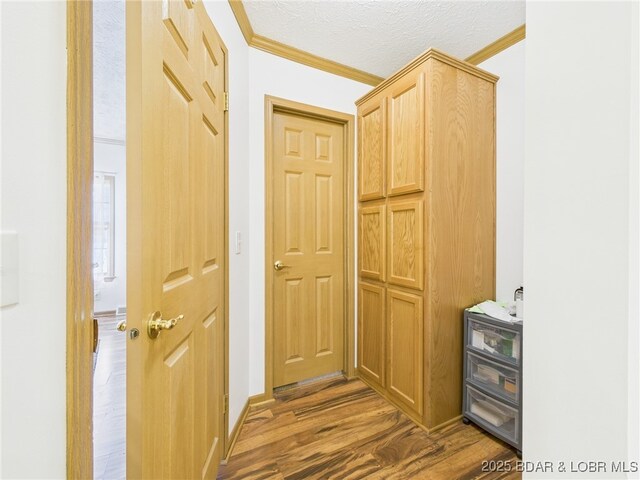 hall featuring a textured ceiling, dark wood-type flooring, and ornamental molding