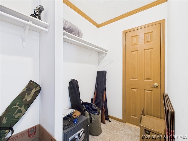 walk in closet featuring carpet